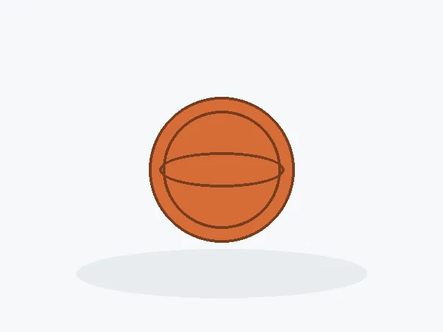 Representative product photo for Basketballs